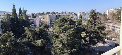 photo no. 6