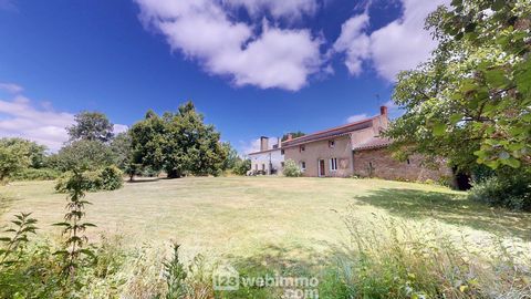 photo no. 18