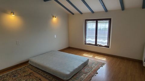 photo no. 13