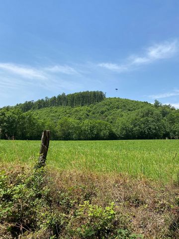 terrains nature forets