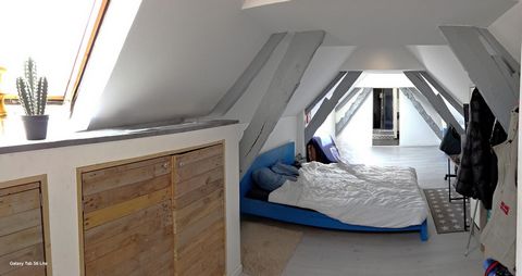 photo no. 12