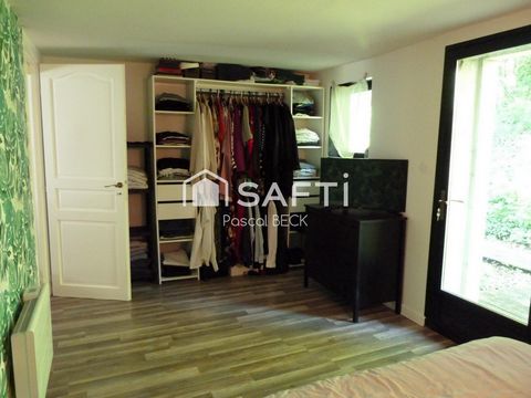 photo no. 11