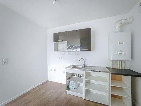 photo no. 7