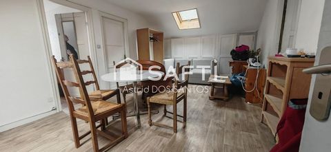 photo no. 13
