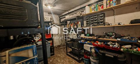 photo no. 16