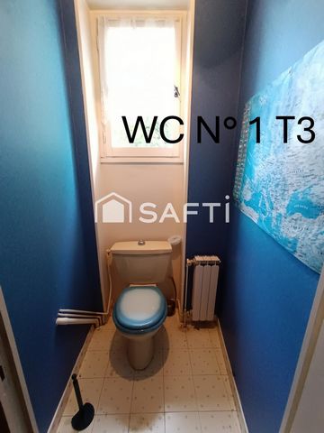photo no. 10