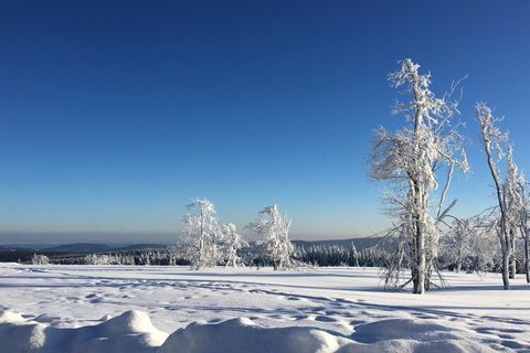 Located in a quiet yet central area of Winterberg town (just 200 meters from the large ski lift carousel and 400 meters from Winterberg’s market square), this light-filled and modernly furnished Winterberg City Apartment offers a welcoming stay in an...
