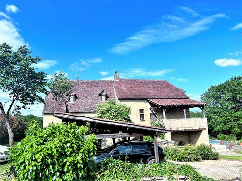 photo no. 11