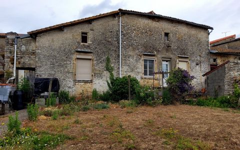 photo no. 6