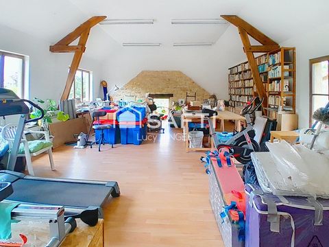photo no. 14