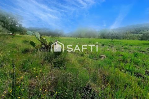 photo no. 6
