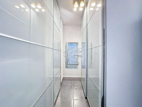 photo no. 8