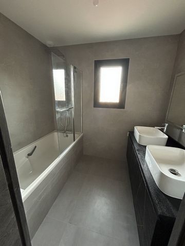 photo no. 12