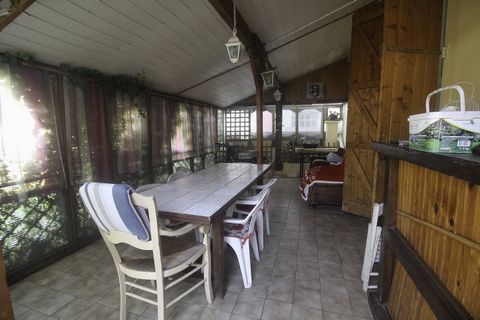 photo no. 9