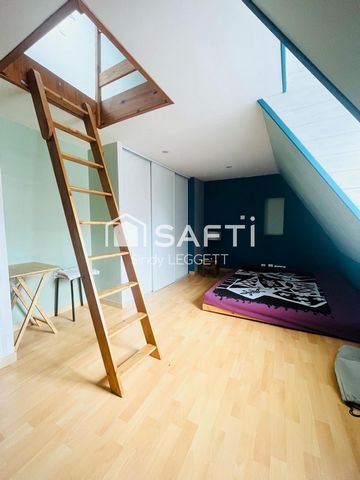 photo no. 11