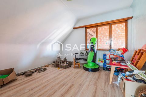 photo no. 16