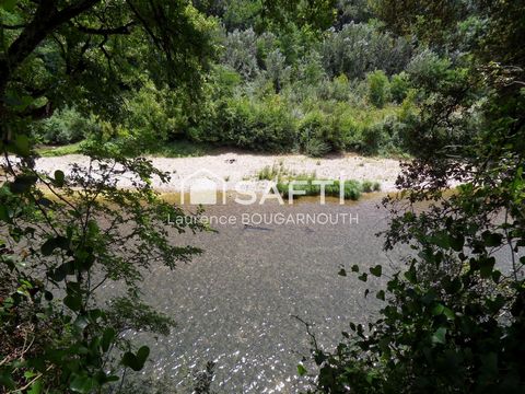 photo no. 17