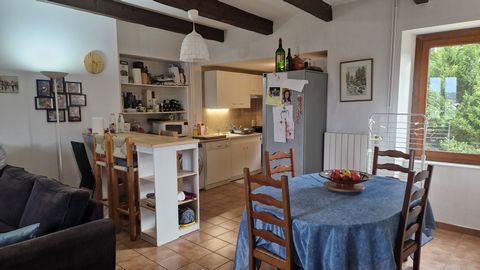 photo no. 12