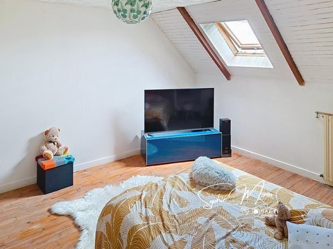 photo no. 11