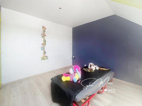 photo no. 12