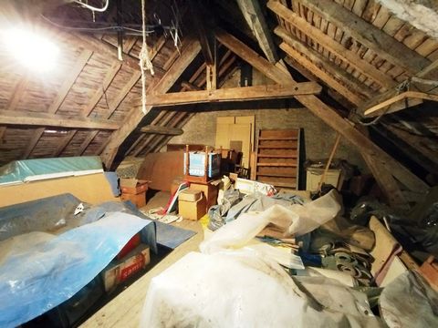 photo no. 8