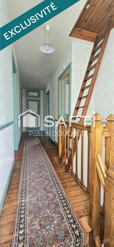 photo no. 5