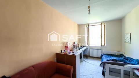 photo no. 6
