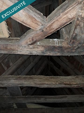 photo no. 5