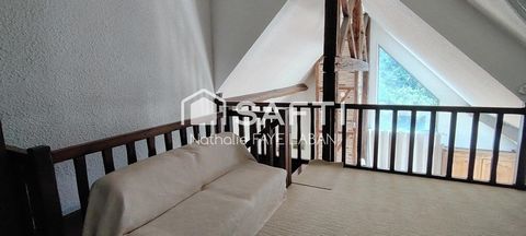 photo no. 15