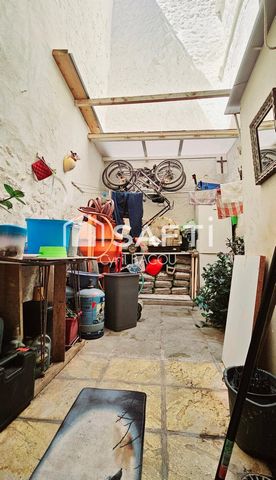 photo no. 7
