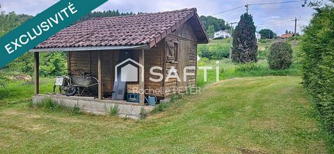 photo no. 14