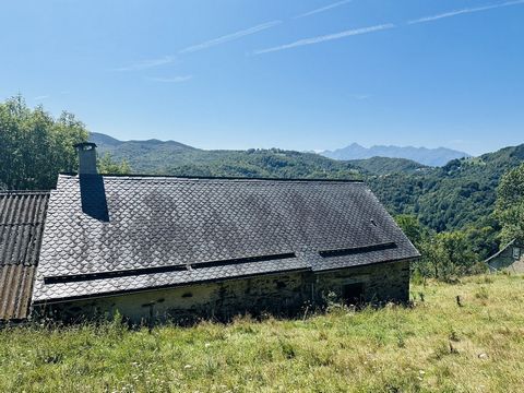 photo no. 19