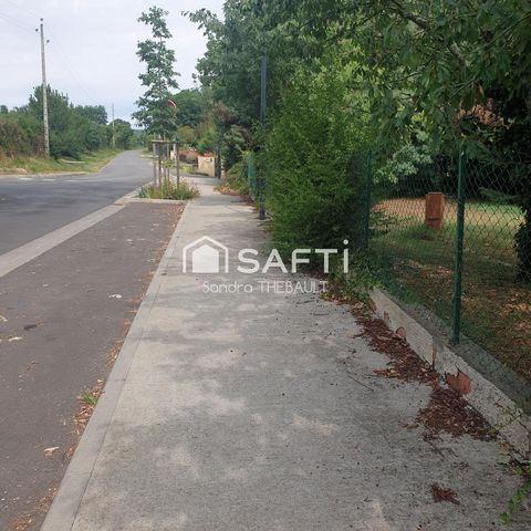 photo no. 2