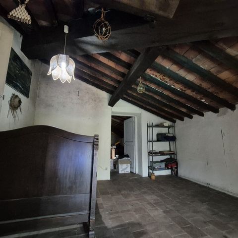 photo no. 20