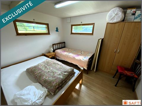 photo no. 8
