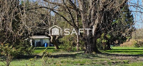 photo no. 15