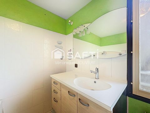 photo no. 10