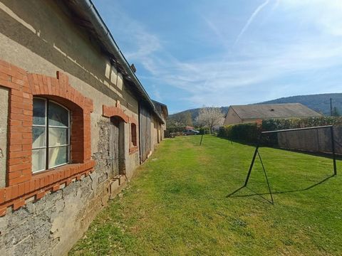 photo no. 16