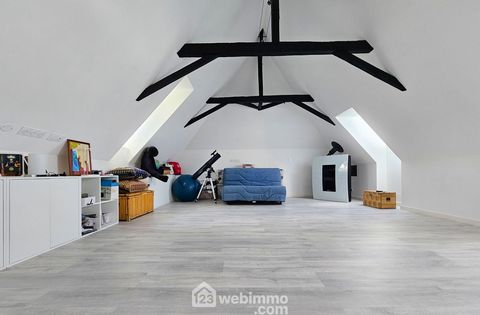 photo no. 11