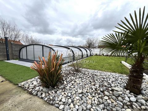 photo no. 11