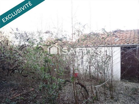 photo no. 10