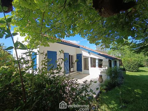 photo no. 13