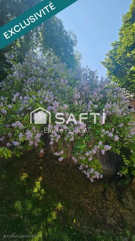 photo no. 17