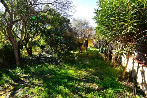 photo no. 17