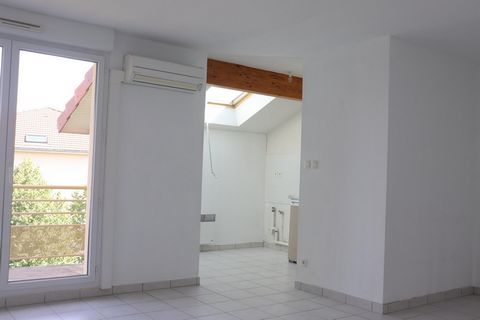 photo no. 8