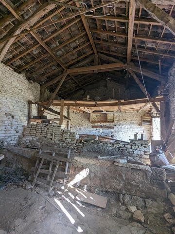 photo no. 6