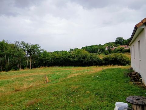 photo no. 10