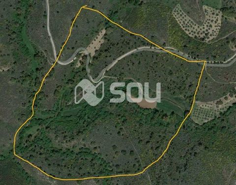 Ref: B00SÒL_471 Este terreno rústico com 12 hectares na união de freguesias de Franco e Vila Boa, concelho de Mirandela, contém uma beleza incrível, pronto a realizar os seus sonhos! Com oliveiras, mais de 1502 árvores de lenha e várias nascentes de ...