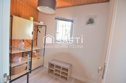 photo no. 13