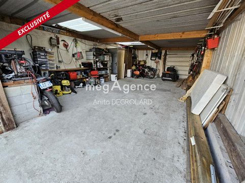photo no. 10